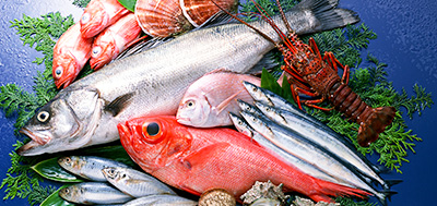 魚、蝦等海產(chǎn)品