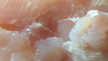 特斯特復配保水劑M09浸泡法加工巴沙魚片