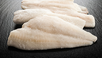 巴沙魚(yú)加工解決方案